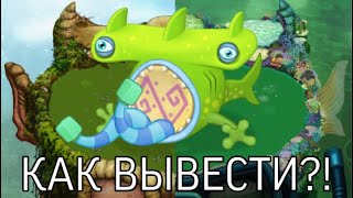 ЭПИЧЕСКИЙ МАРАКАСТУК!!! КАК ВЫВЕСТИ?! ВЛЕЧЕНИЯ!!! КОМБИНАЦИЯ ДЛЯ ВЫВЕДЕНИЯ!!!