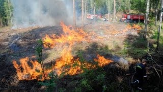 Skogbrannøvelse 29. juli