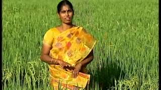Pon Vilaiyum Bhoomi  6/02/2015 Part-II