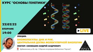 Лекция Андрея Синюшина "Биомолекулы: ДНК и РНК. Центральная догма молекулярной биологии"