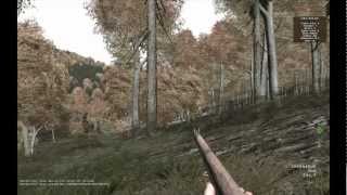 DayZ. Одиночное выживание #8. Охота на зайца.