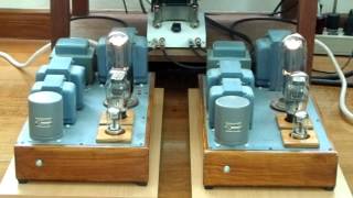 838 SE amp