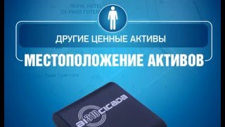 Автономный GPS-маяк, Cicada (Цикада)