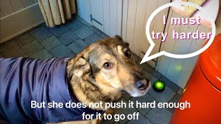 Sophia understands  the concept of ‘try harder’ - vlog 8