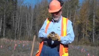Using a RipPlow for soil decompaction in forestry reclamation