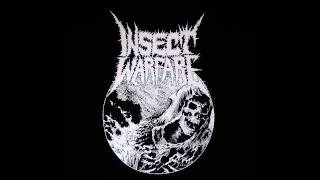 Insect Warfare - Information Economy
