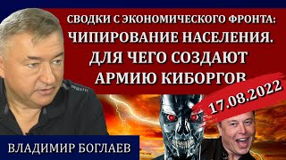 Сводки (17.08.22): оккультные банкиры, плата за свободу / Владимир Боглаев