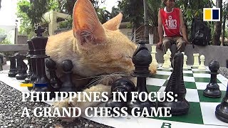 Checkmate Manila: pawns, paws and a grand chess game in the Philippine capital