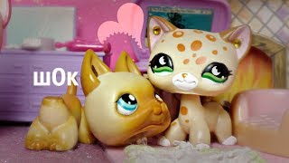 LPS ~ Игра Правда Или Действие #11 БАБИЙ БУНТ