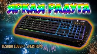 Обзор Tesoro Lobera Spectrum | ЯРКАЯ РАДУГА!