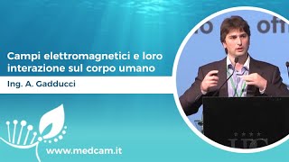 Campi elettromagnetici e loro interazione sul corpo umano - Ing. Andrea Gadducci