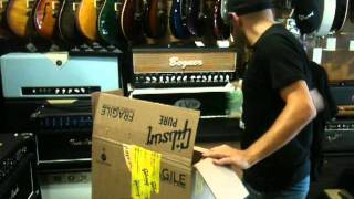 Gibson Les Paul Tree Of Life en Organigrama Guitars