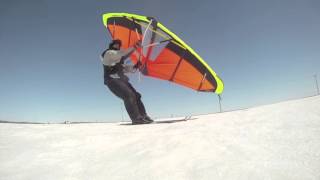 Kitewing