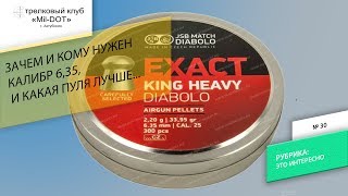 Какая пуля лучше в калибре 6,35