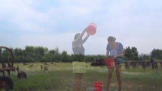 Как убрать  горох и фасоль быстро!