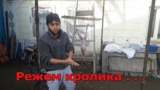 Режем Крола
