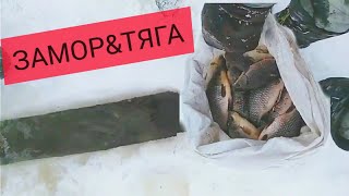 Замор 2023. Рыбнадзору пофиг,значит мы возьмём!
