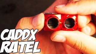 ☀ Лучшая камера до 30$? Или обычный среднячок? [Caddx Ratel]