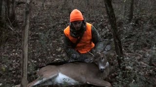 Quota Hunt Deer #1