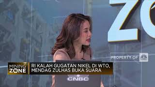 RI Kalah Gugatan di WTO, Nasib Hilirisasi Nikel RI Gimana?