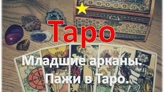 ТАРО для новичков. Младшие арканы. ПАЖИ ТАРО. Бесплатный курс обучения для начинающих.