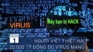 Người Việt thiệt hại 20.000 tỷ đồng do virus mạng | VTC1