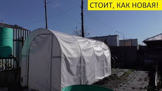 ЧУДО ТЕПЛИЦА ТОЖЕ СОХРАНИЛА ТОМАТЫ ПОД СНЕГОМ.