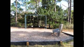 Pictures from Little Talbot Island State Park