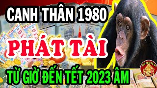 Hé Lộ Thiên Cơ Giúp Canh Thân 1980 Đổi Đời Phất Mạnh, Giàu Có Nhất Vùng