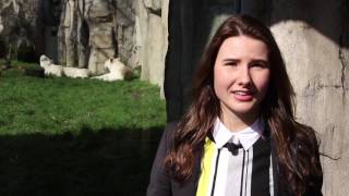 Stagelopen bij Ouwehands Dierenpark