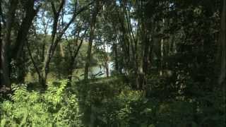 Green Energy & Conservation at Cincinnati Parks