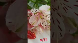 Брошь "LIPS"