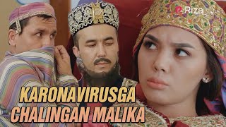 Akula - Karonavirusga chalingan malika