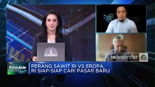 Perang Sawit RI Vs Eropa Berlanjut, Pemerintah Cari Pasar Baru?