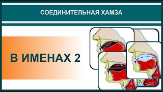Айман Сувейд. 4. Соединительная хамза: В ИМЕНАХ 2 (с субтитрами на русском)
