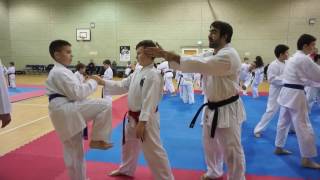 Rafael Aghayev UK Seminar - 4th February 2017 [ Juniors ]