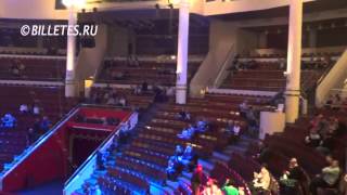 Цирк Никулина на Цветном Бульваре, зрительный зал
