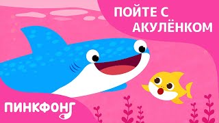 Противоположности в море | Пойте с Акулёнком | Пинкфонг Песни для Детей