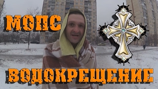 Мопс дядя пес | КРЕЩЕНИЕ  ✅