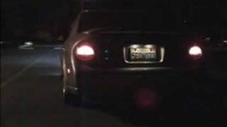 Cattman Header + Exhaust
