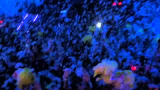 Electric Foam Rubber Ducky Bounce-A-Thon