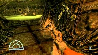 Aliens vs Predator 2010 [1]