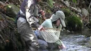 Fly Fishing in Western North Carolina