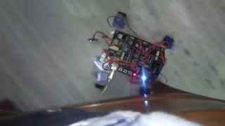 QUAD BOT