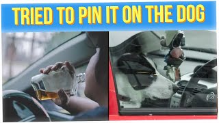 Man Tried to Switch Seats with His Dog to Avoid Drunk Driving Arrest