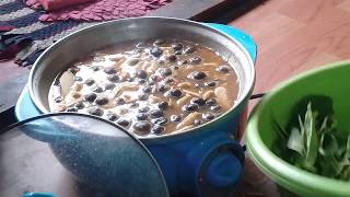 สูตรทำแกงเห็ดถอบ(เห็ดเผาะ)สูตรเมืองแพร่