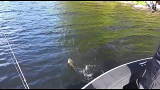 Schroon Lake Fishing Extravaganza