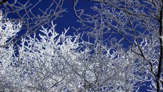 Winter-Vivaldi Four Seasons