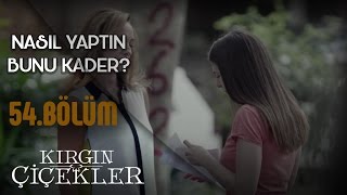 Kırgın Çiçekler 54.Bölüm - Nasıl Yaptın Bunu Kader
