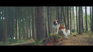 Sony A7s Video Test | S-Log 2 | 60p & 120p
